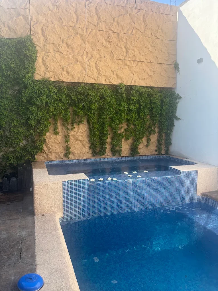 Zona exterior con alberca y muro verde decorativo en Nalyjo Spa